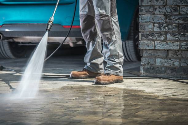 Best Rust Removal  in Ridgely, TN