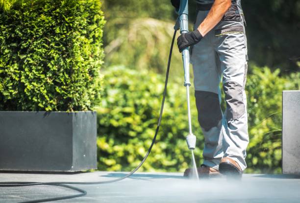 Best Sidewalk and Walkway Cleaning  in Ridgely, TN