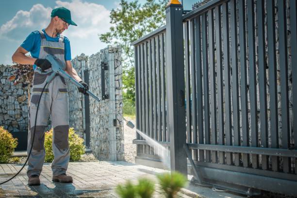 Best Solar Panel Cleaning  in Ridgely, TN