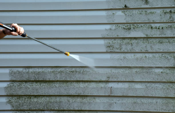 Best House Exterior Washing  in Ridgely, TN