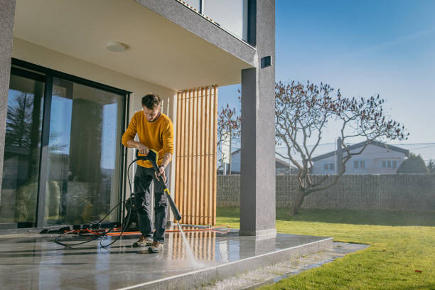 Best Pre-Holiday Cleaning  in Ridgely, TN